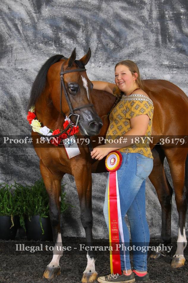 Proof 18YN_36179
