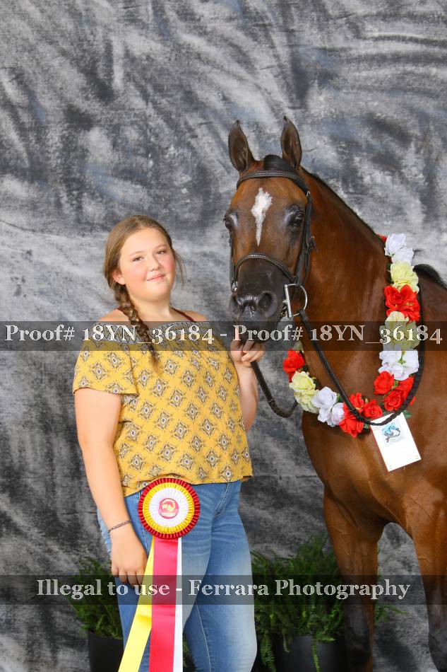 Proof 18YN_36184