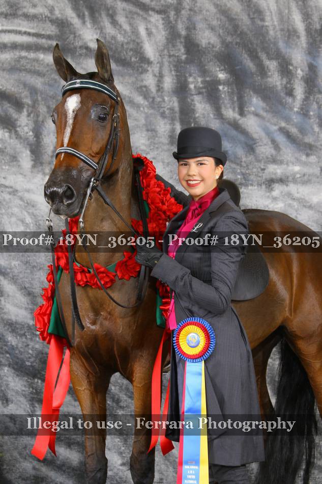 Proof 18YN_36205