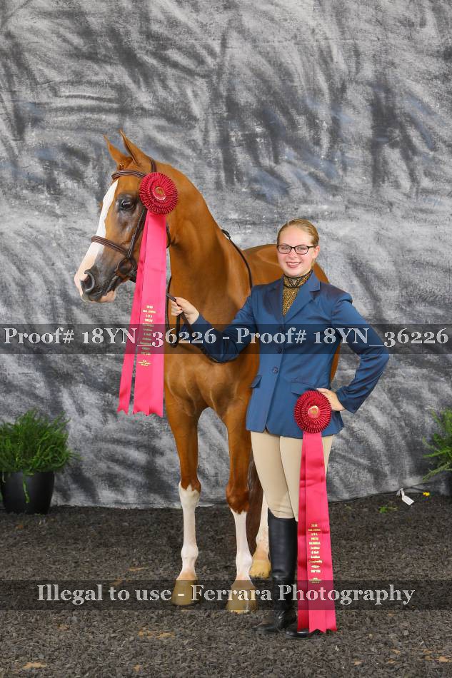 Proof 18YN_36226