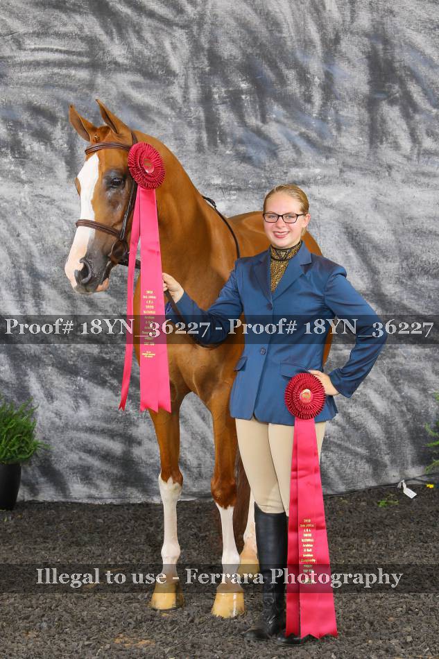 Proof 18YN_36227