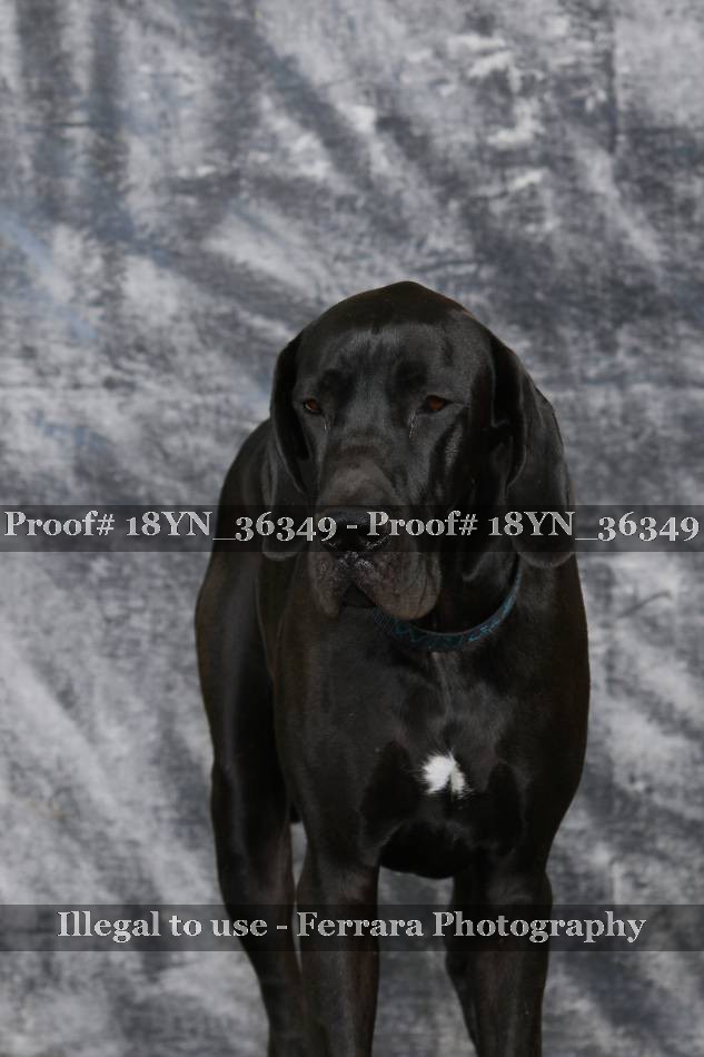 Proof 18YN_36349