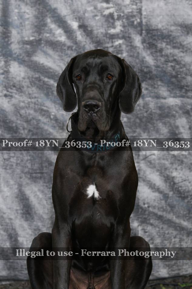 Proof 18YN_36353