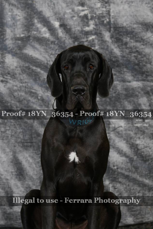 Proof 18YN_36354