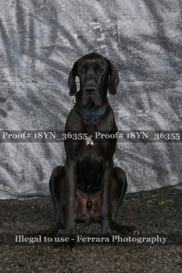 Proof 18YN_36355