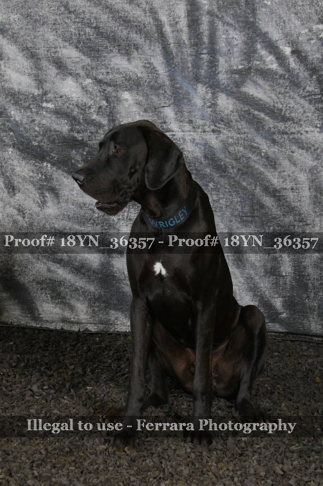 Proof 18YN_36357