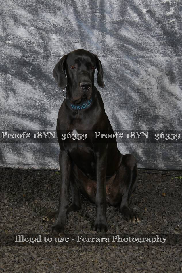 Proof 18YN_36359