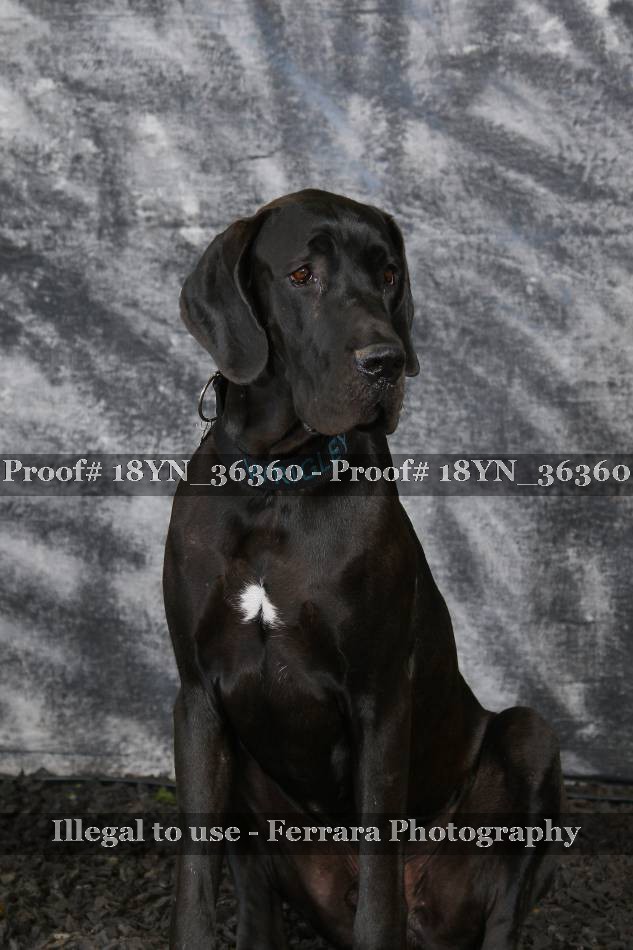 Proof 18YN_36360