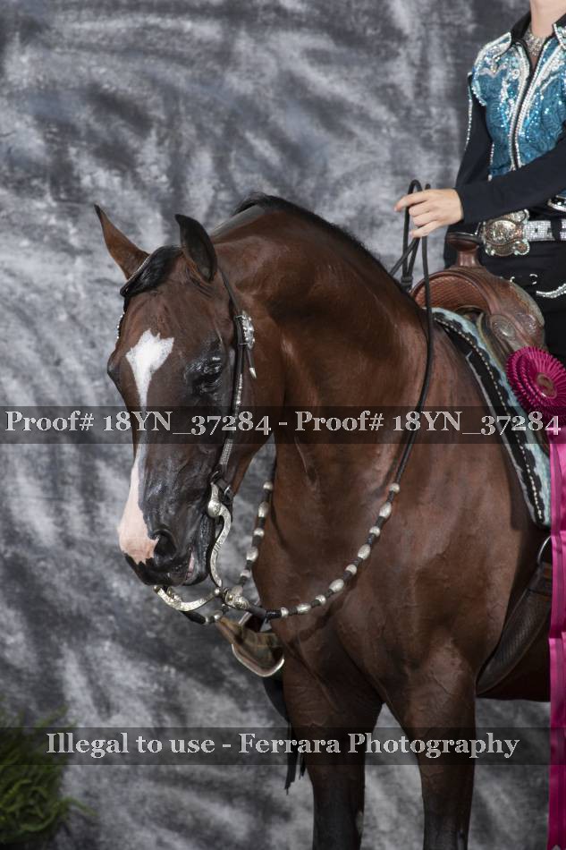 Proof 18YN_37284