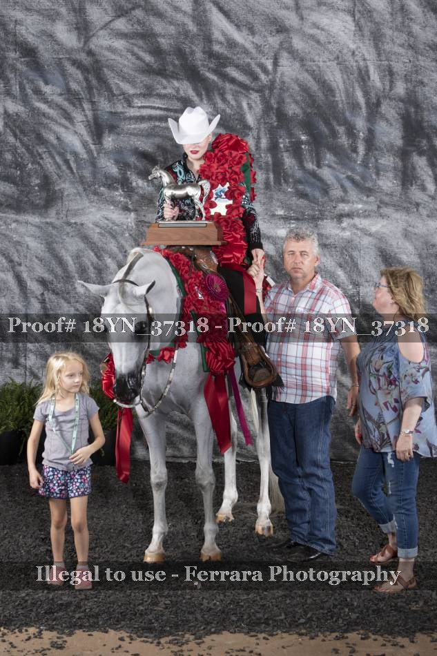 Proof 18YN_37318