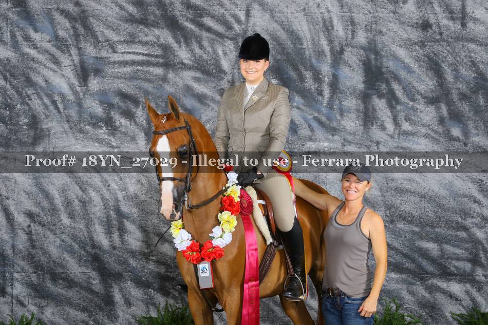 Proof 18YN_27029
