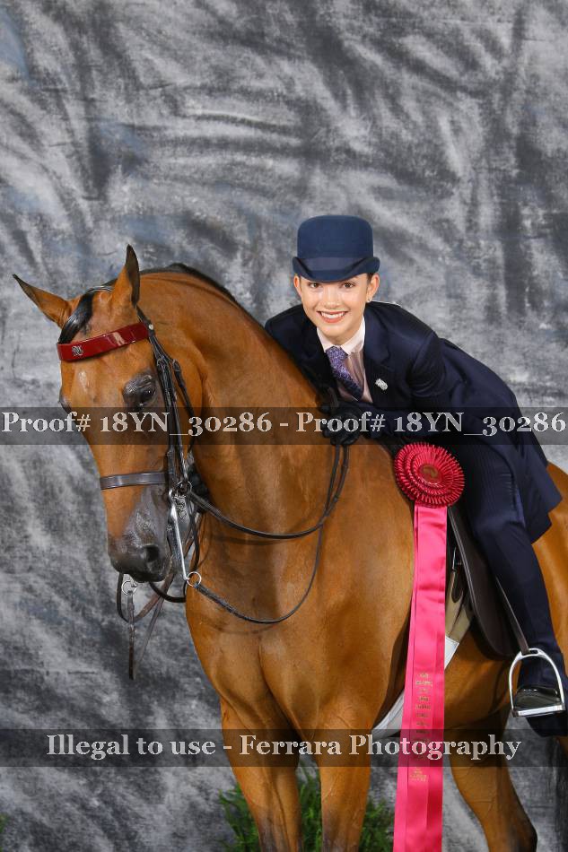 Proof 18YN_30286
