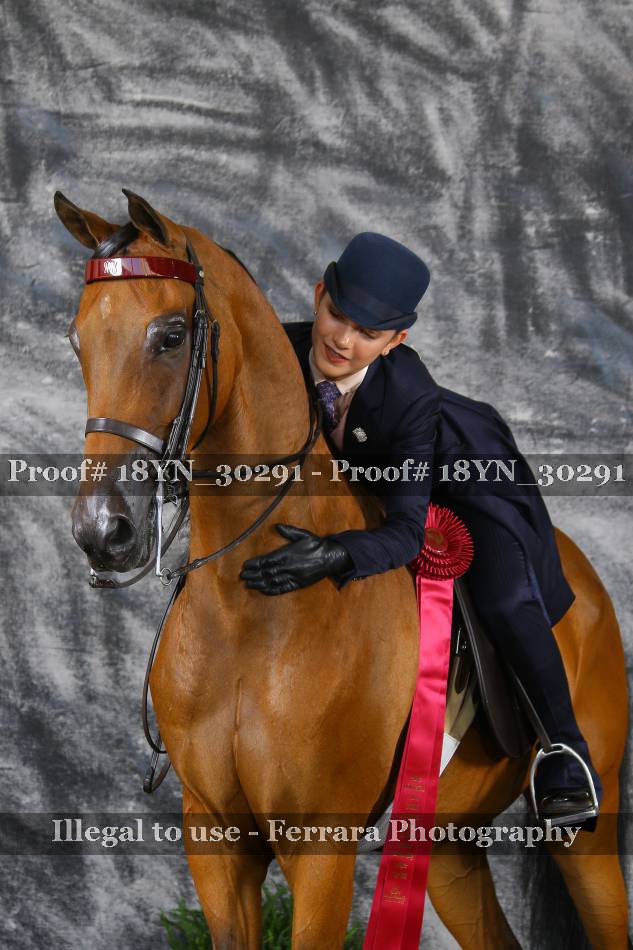 Proof 18YN_30291