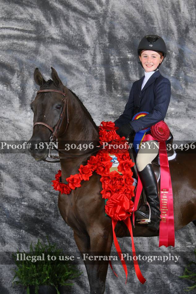 Proof 18YN_30496