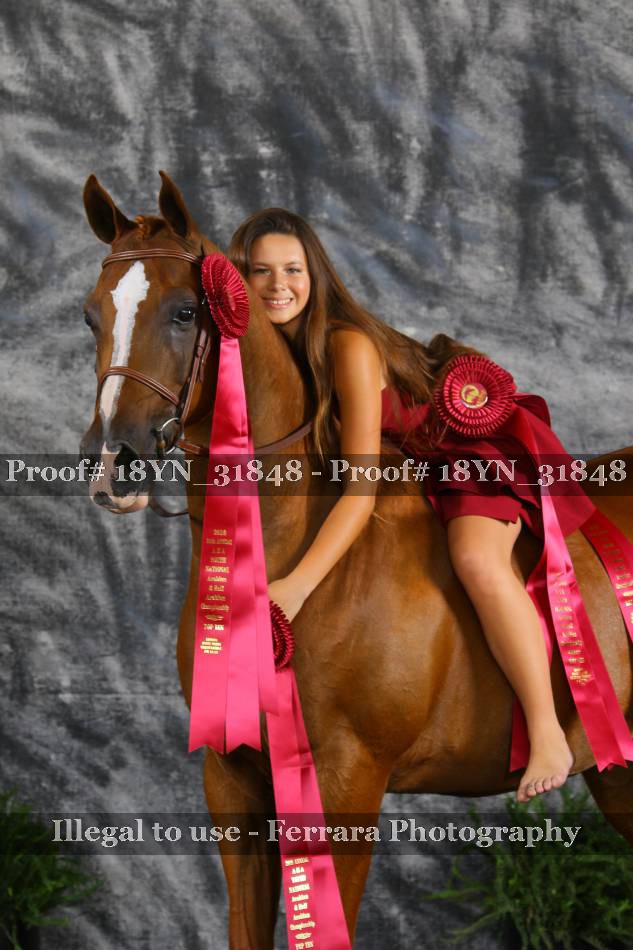 Proof 18YN_31848