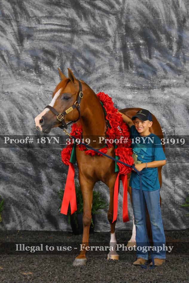 Proof 18YN_31919