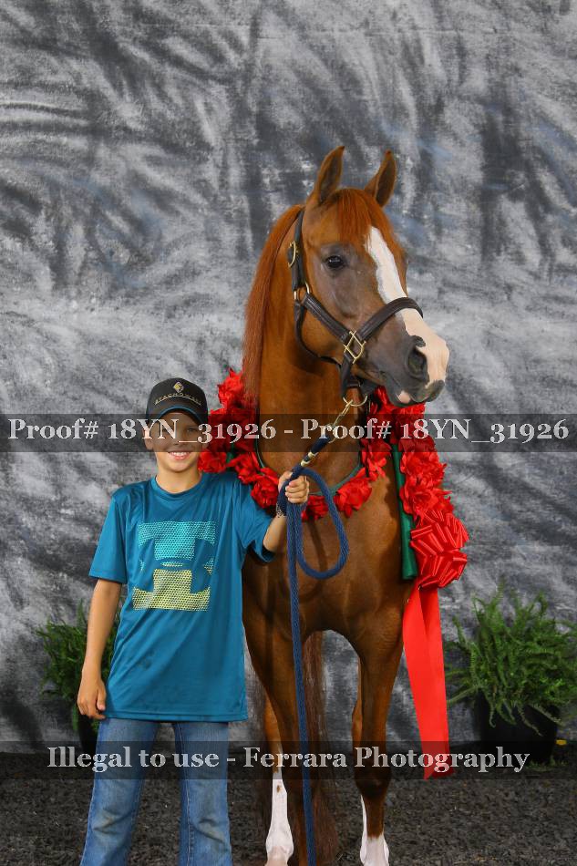 Proof 18YN_31926