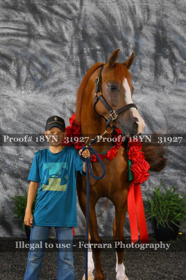 Proof 18YN_31927