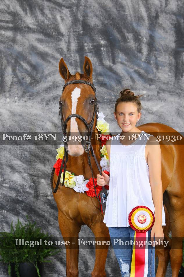 Proof 18YN_31930