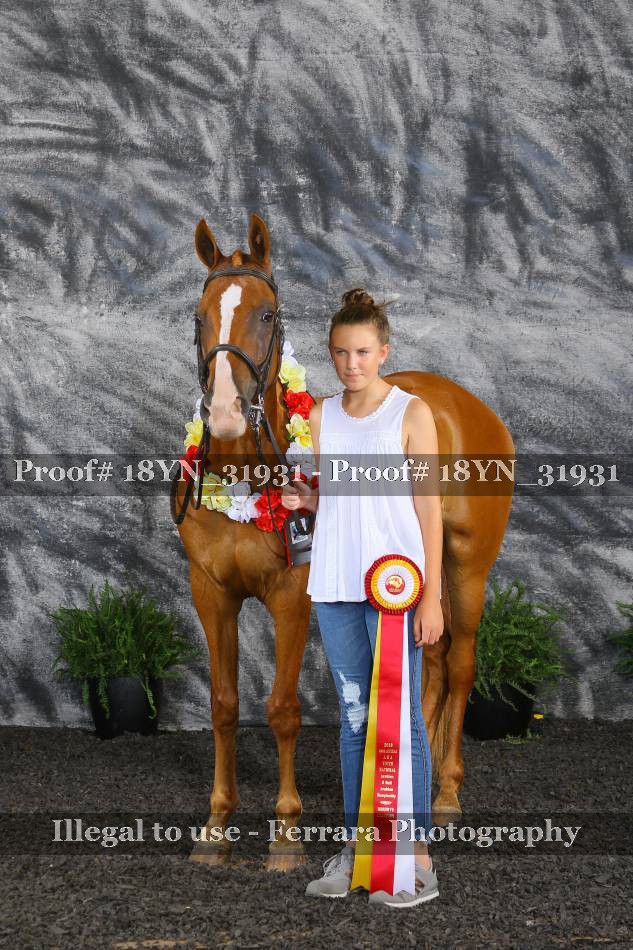 Proof 18YN_31931