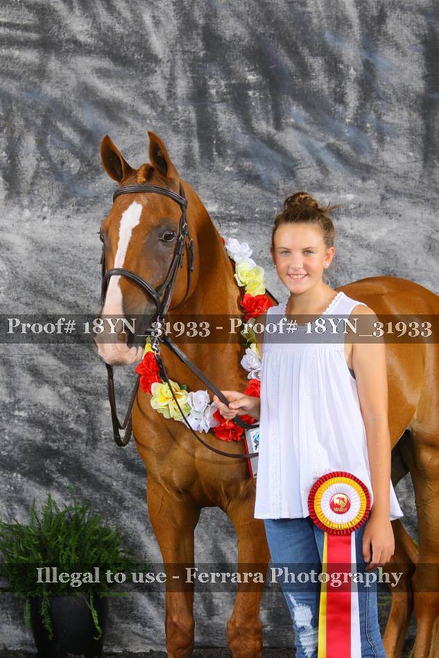 Proof 18YN_31933