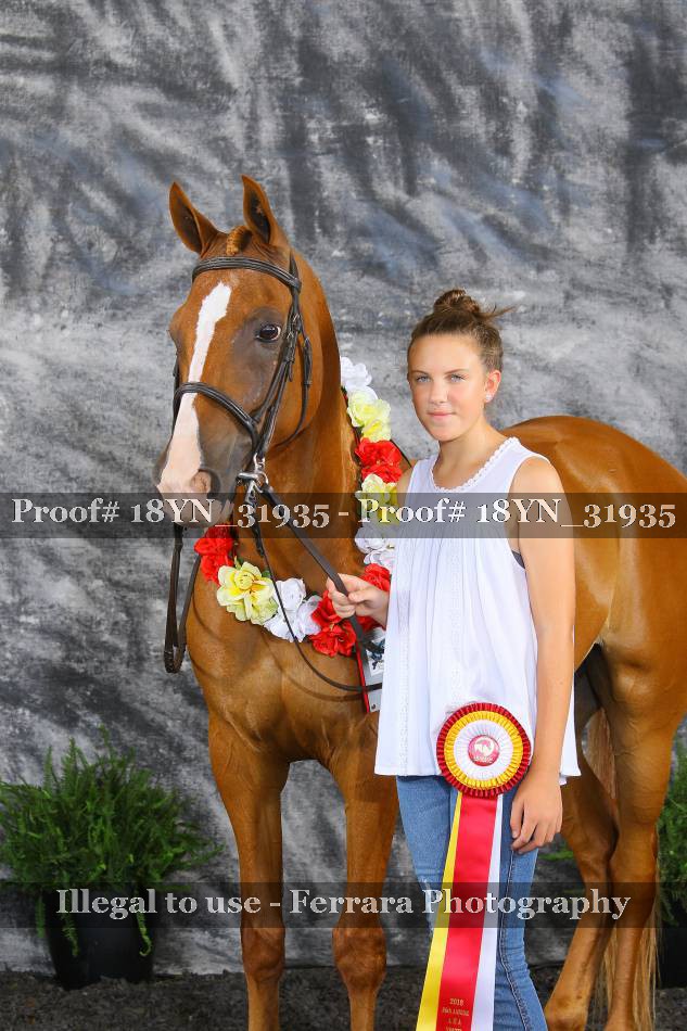 Proof 18YN_31935