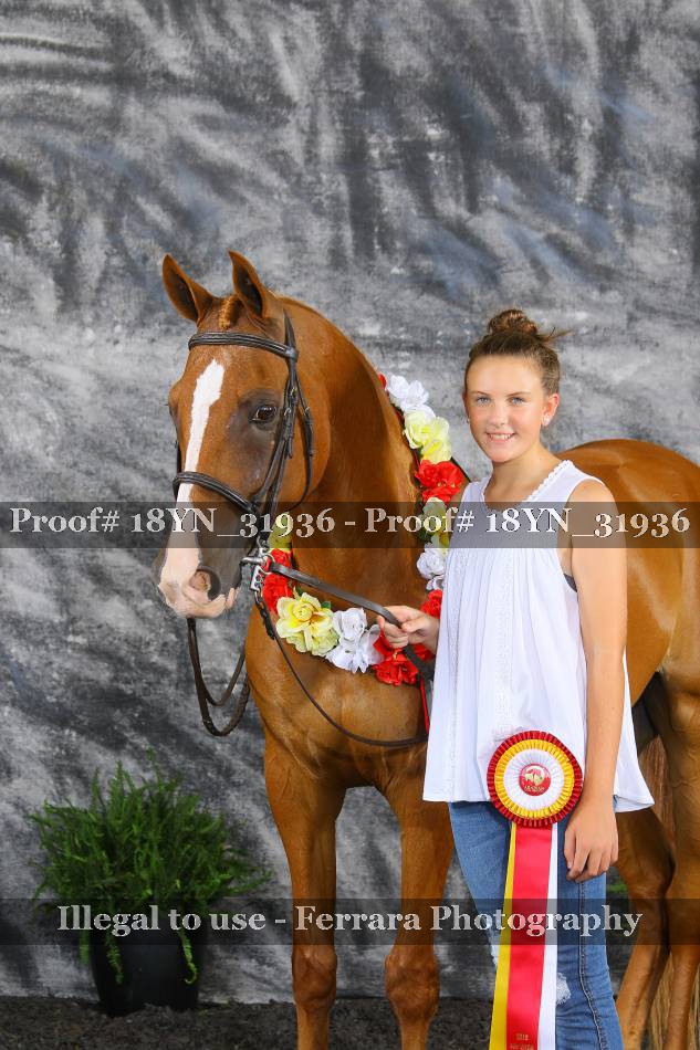 Proof 18YN_31936