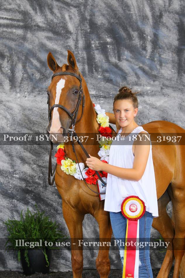 Proof 18YN_31937