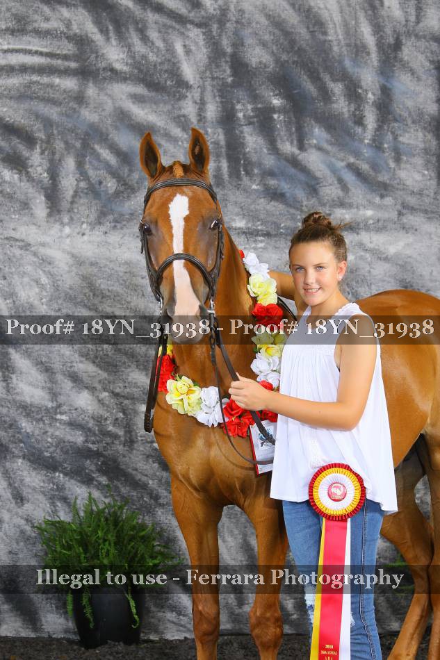 Proof 18YN_31938