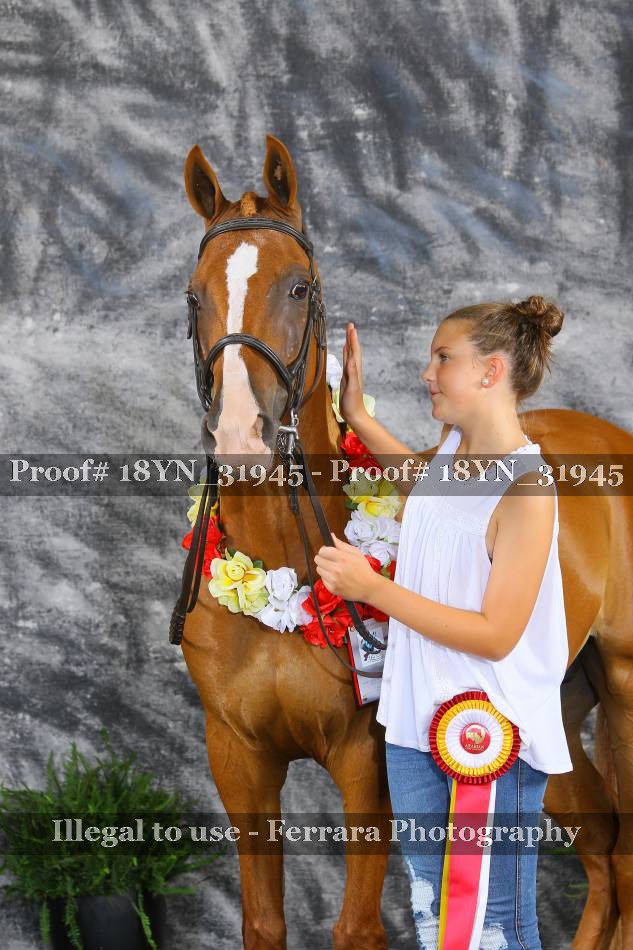Proof 18YN_31945