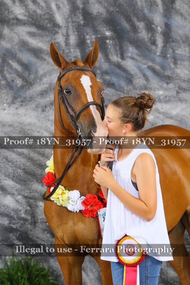 Proof 18YN_31957