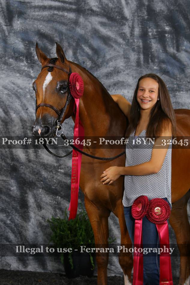 Proof 18YN_32645