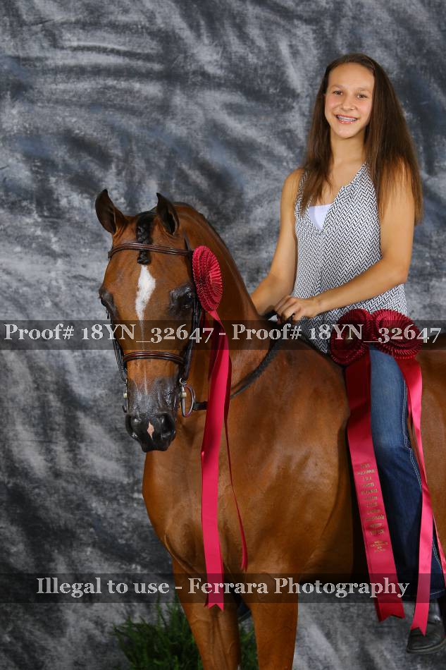 Proof 18YN_32647