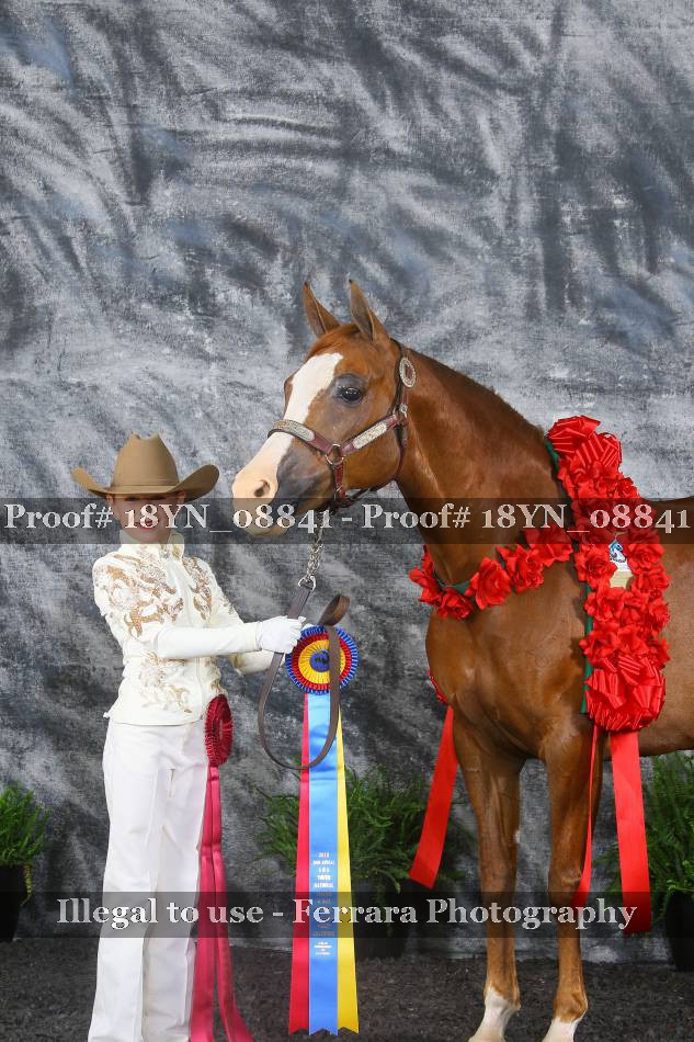 Proof 18YN_08841