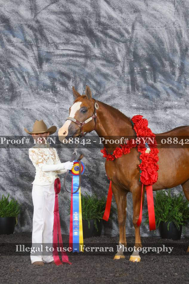 Proof 18YN_08842