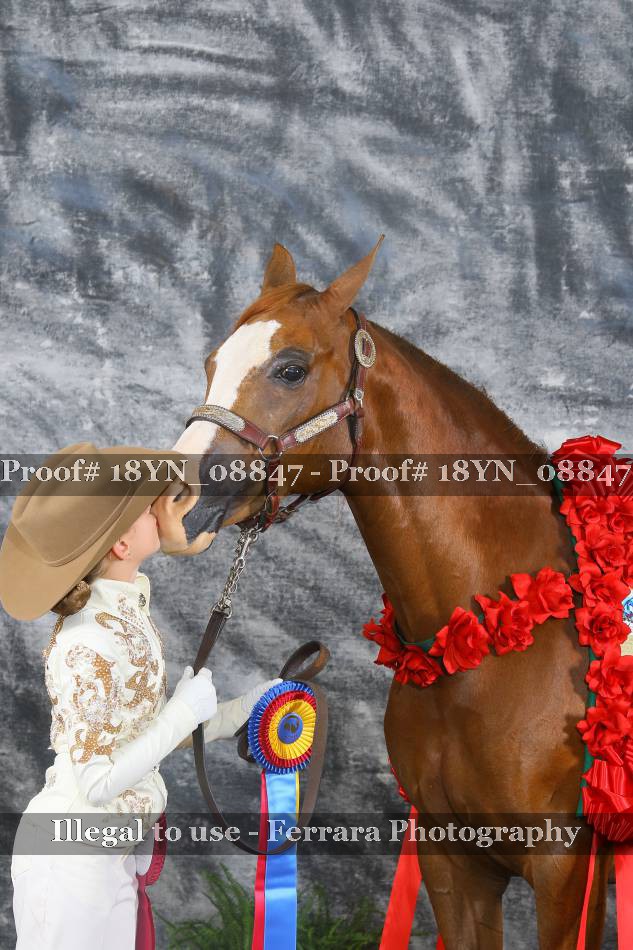 Proof 18YN_08847