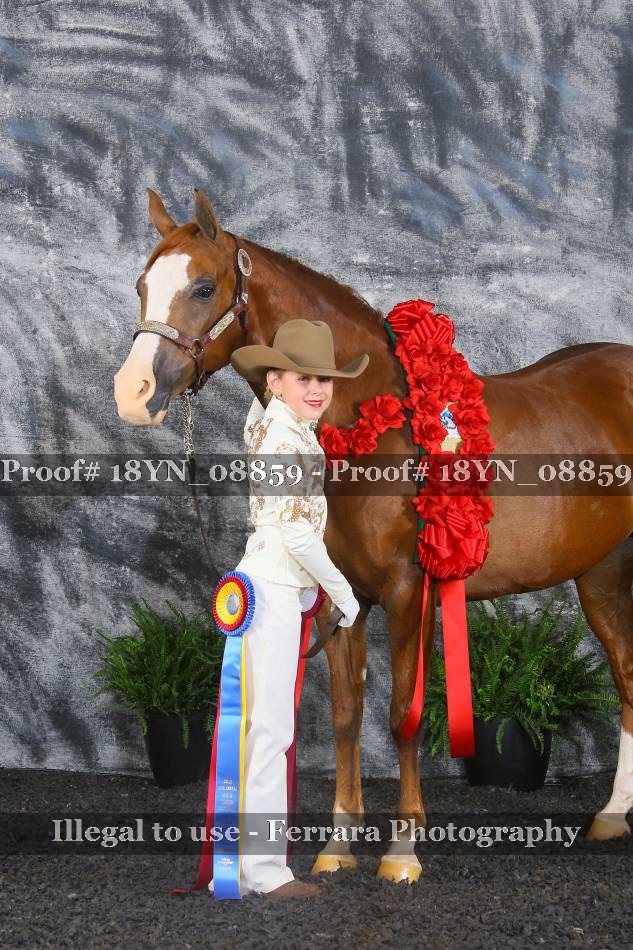 Proof 18YN_08859