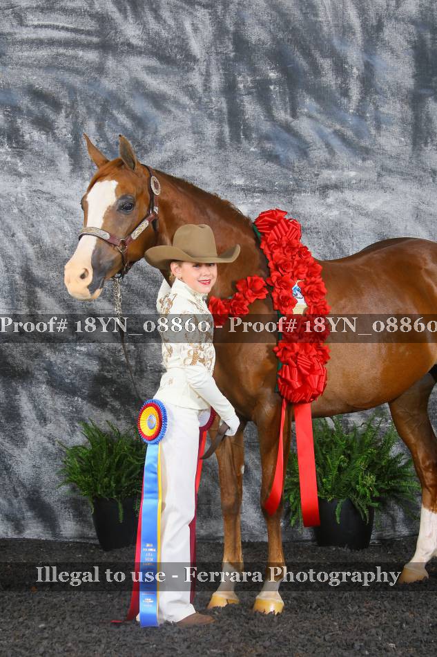 Proof 18YN_08860