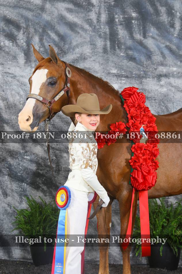 Proof 18YN_08861