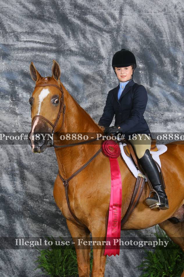 Proof 18YN_08880