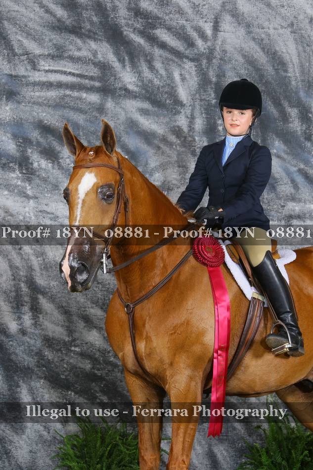 Proof 18YN_08881