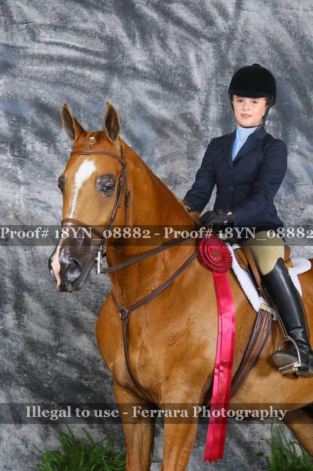 Proof 18YN_08882