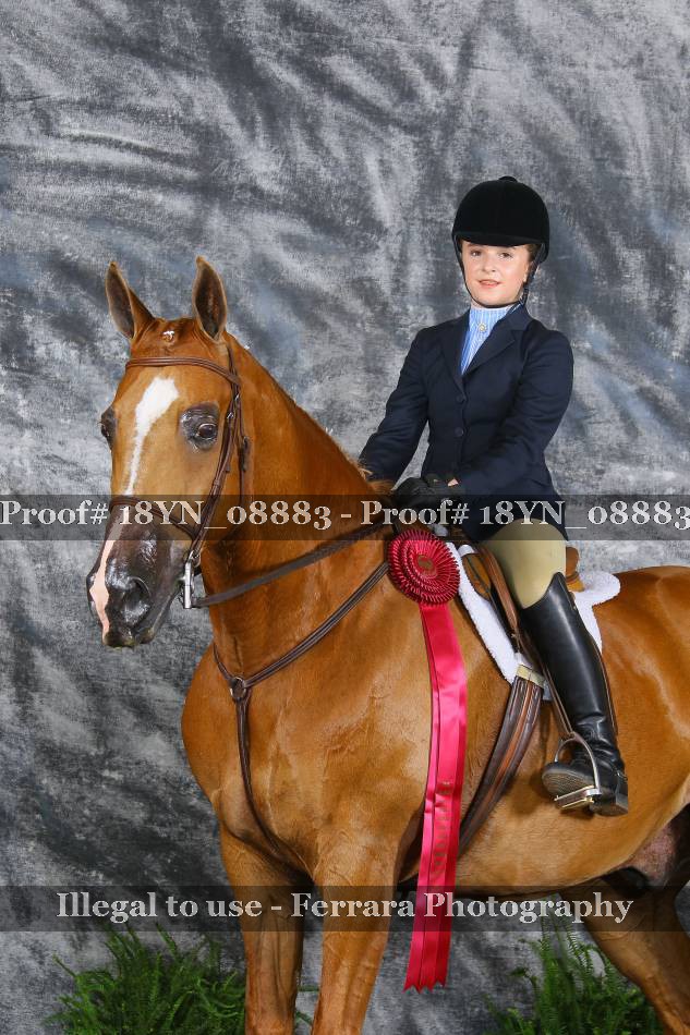 Proof 18YN_08883