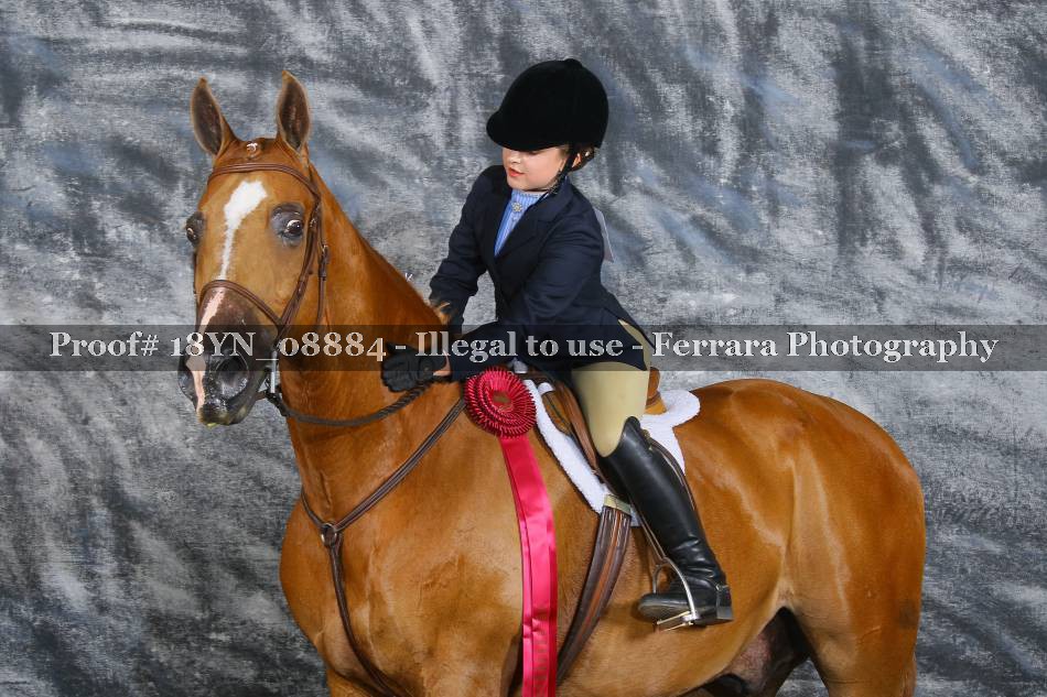 Proof 18YN_08884