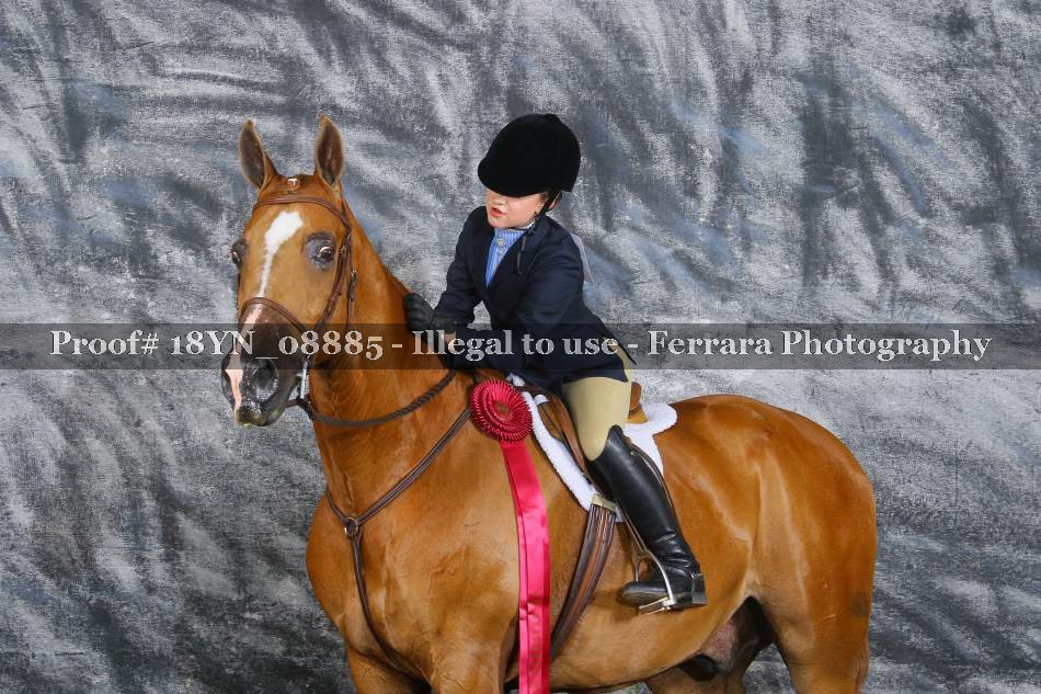 Proof 18YN_08885