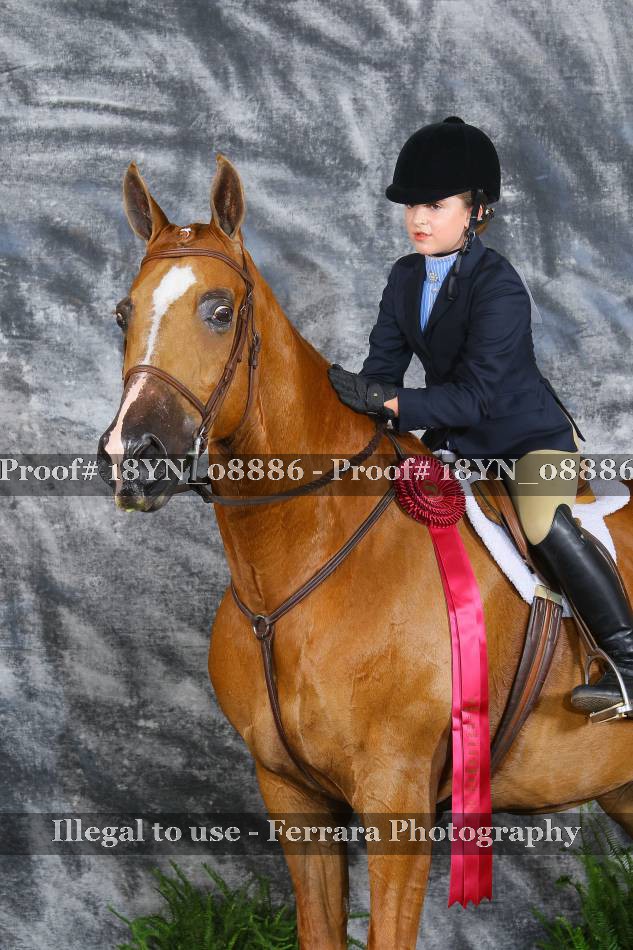 Proof 18YN_08886