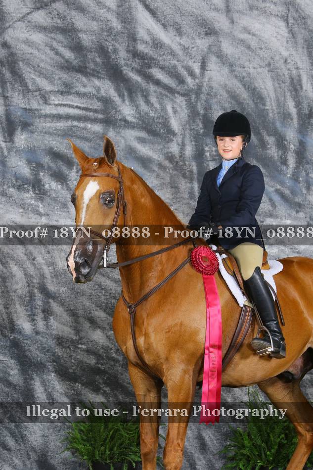 Proof 18YN_08888