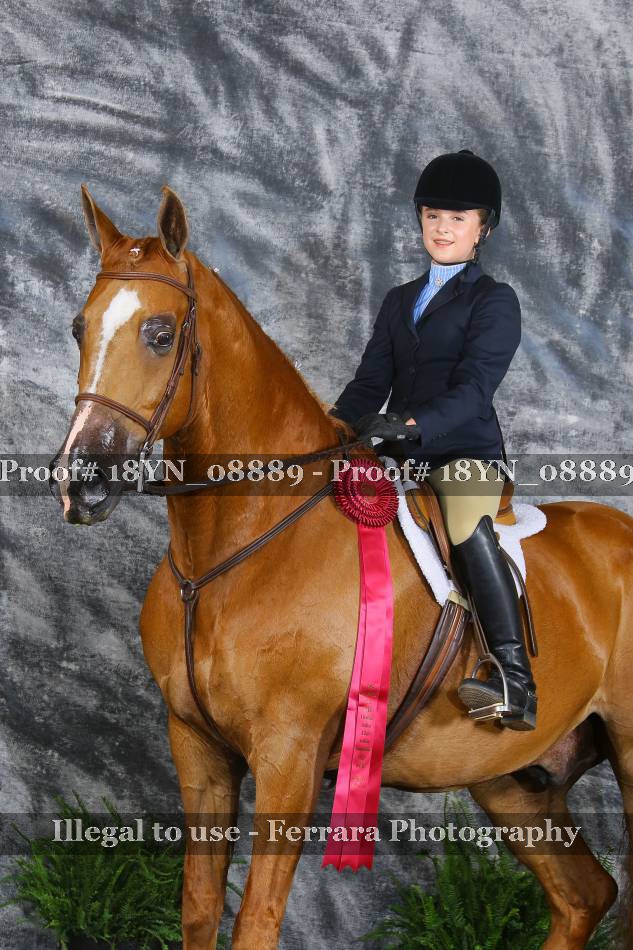 Proof 18YN_08889