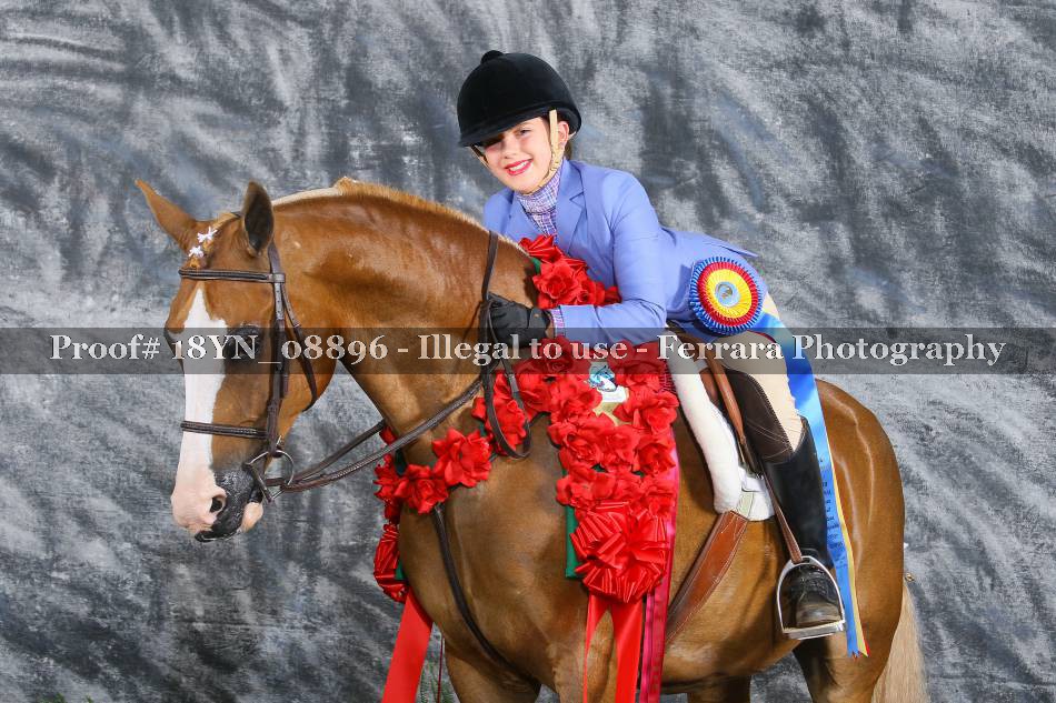 Proof 18YN_08896