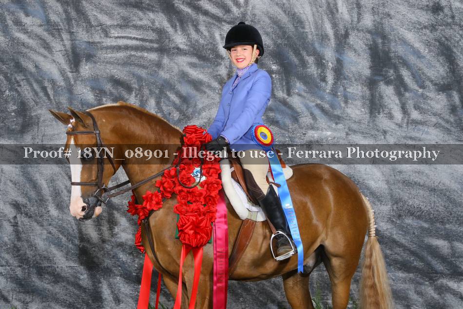 Proof 18YN_08901